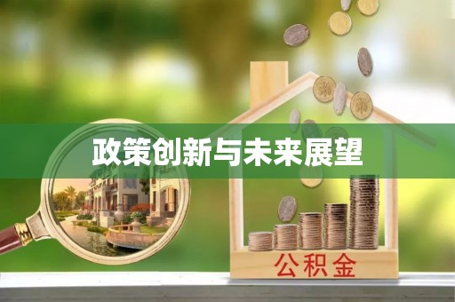 丰润政策创新与未来展望